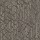 Masland Carpets: Circuitry Birch